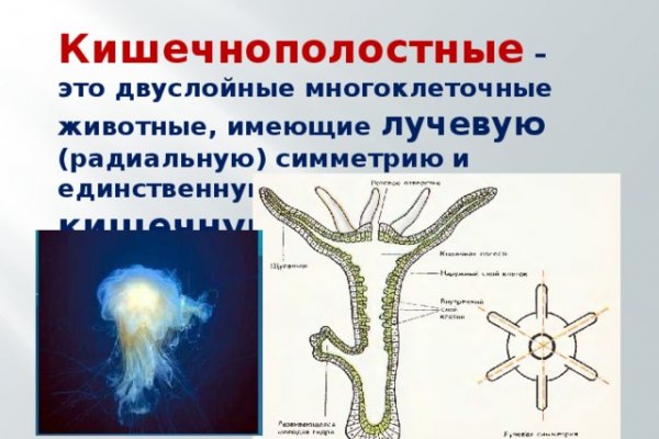 Телега ссылки кракен onion top