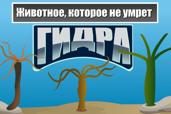 Кракен маркетплейс что это