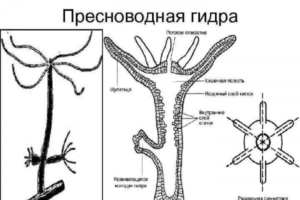 Кракен ссылка 2web krakendark link