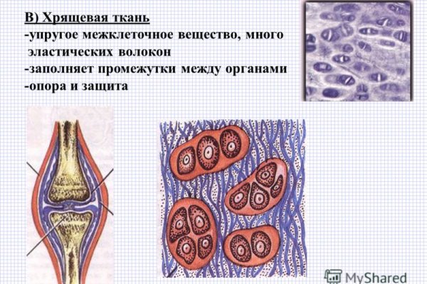 Рабочее зеркало кракен