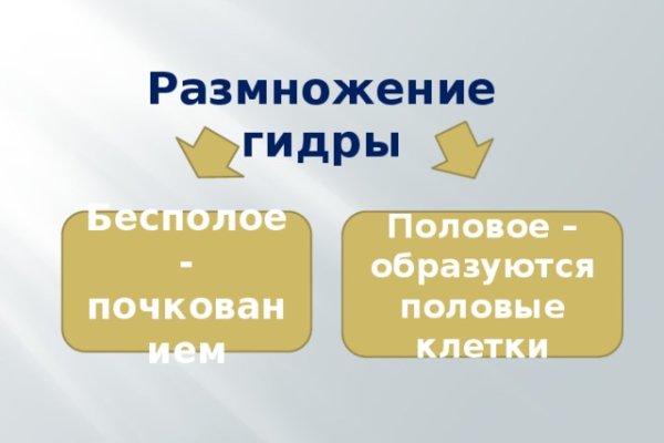 Кракен невозможно зарегистрировать пользователя