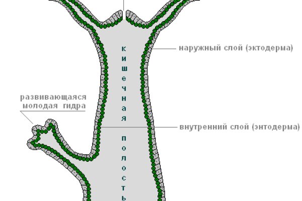 Кракен вход магазин